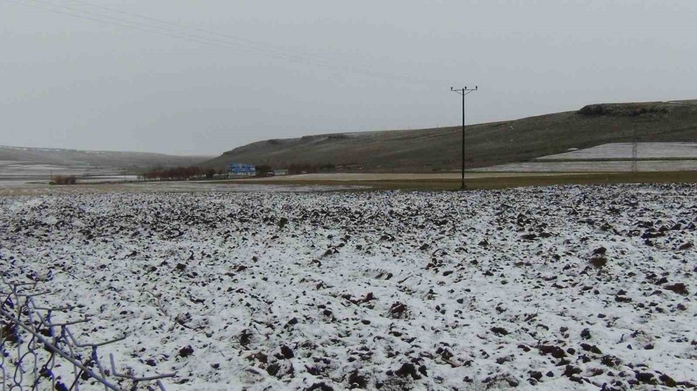 Sarıçam Ormanları Beyaza Büründü.. Sarıkamış’tan Kar Manzaraları!
