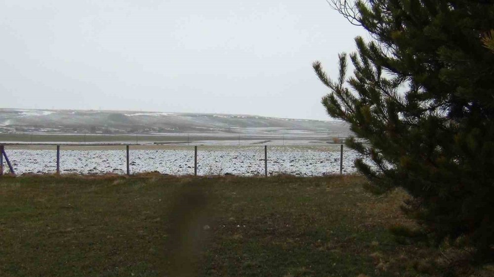 Sarıçam Ormanları Beyaza Büründü.. Sarıkamış’tan Kar Manzaraları!