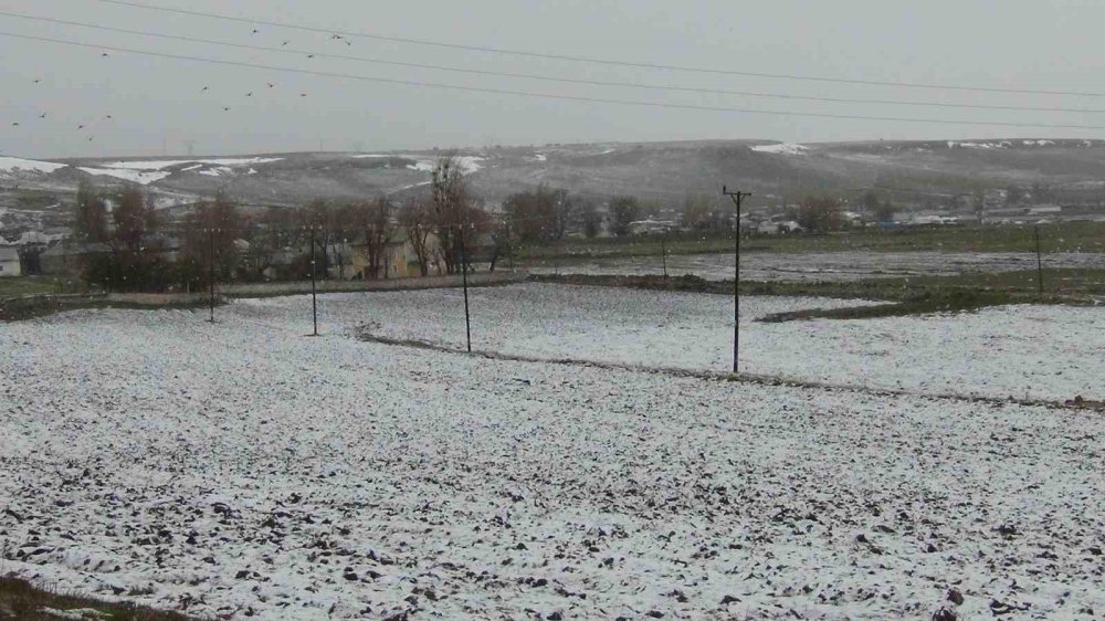 Sarıçam Ormanları Beyaza Büründü.. Sarıkamış’tan Kar Manzaraları!