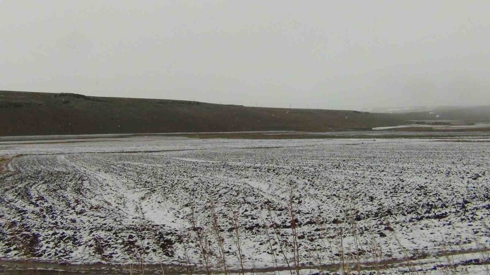 Sarıçam Ormanları Beyaza Büründü.. Sarıkamış’tan Kar Manzaraları!