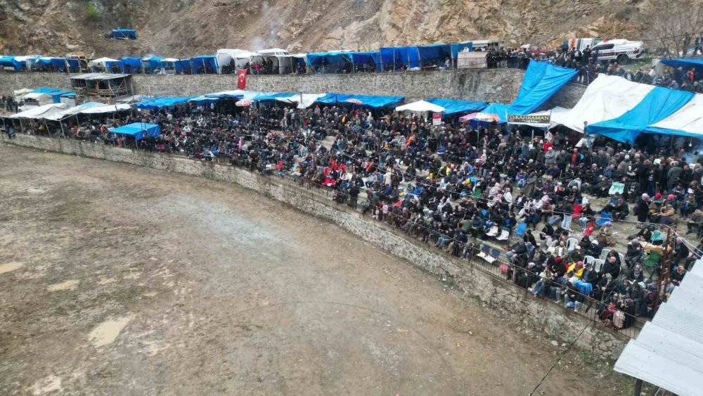 31’inci Kez Boğalar Arenada.. Artvin Yusufeli’nde Nefes Kesen Mücadele!