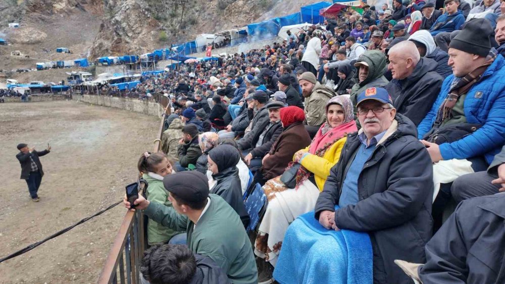 31’inci Kez Boğalar Arenada.. Artvin Yusufeli’nde Nefes Kesen Mücadele!