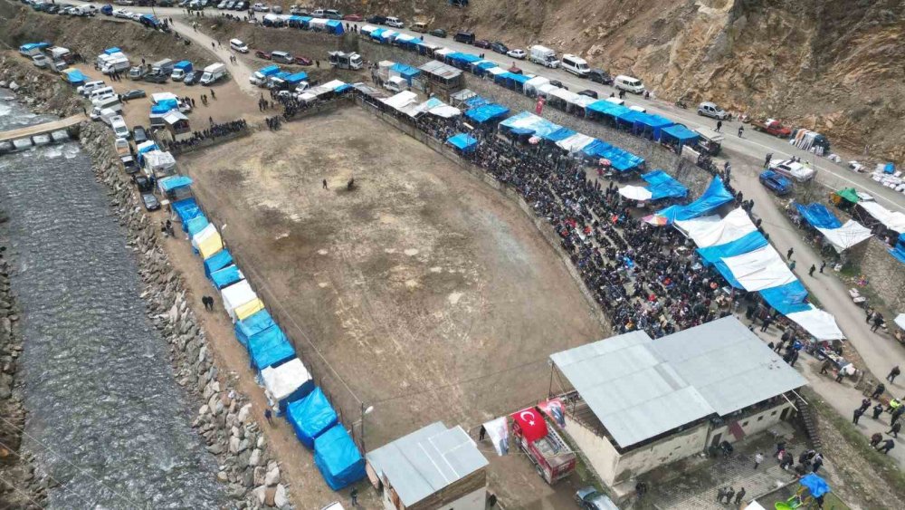 31’inci Kez Boğalar Arenada.. Artvin Yusufeli’nde Nefes Kesen Mücadele!