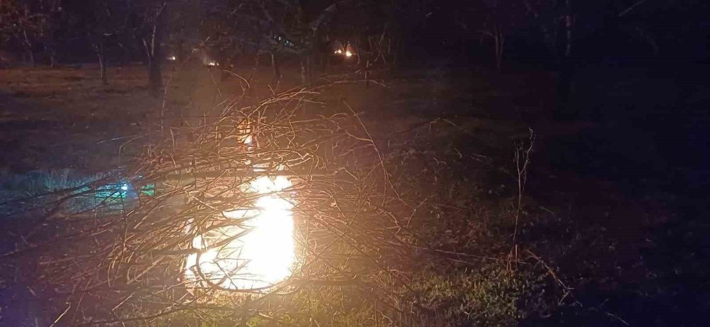 Erzincan’da Zirai Don Nöbeti: Üreticiler Sabaha Kadar Ateş Yaktı