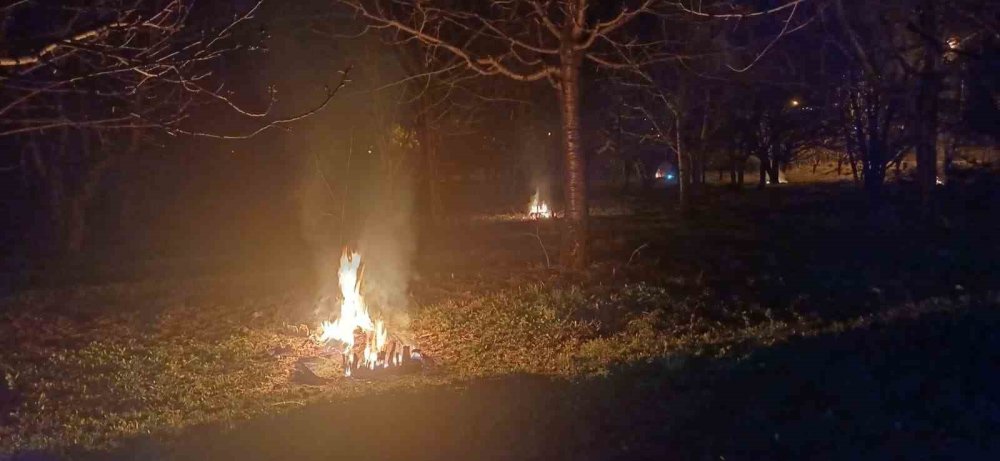 Erzincan’da Zirai Don Nöbeti: Üreticiler Sabaha Kadar Ateş Yaktı