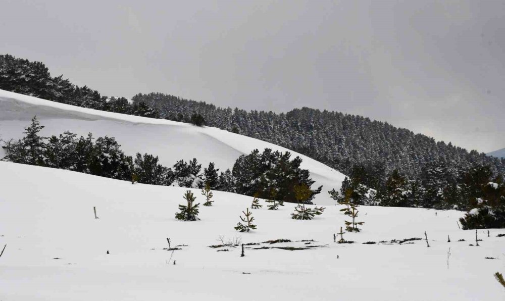 Kar Manzarası İçin 2 Bin 77 Metreye Çıkıyorlar
