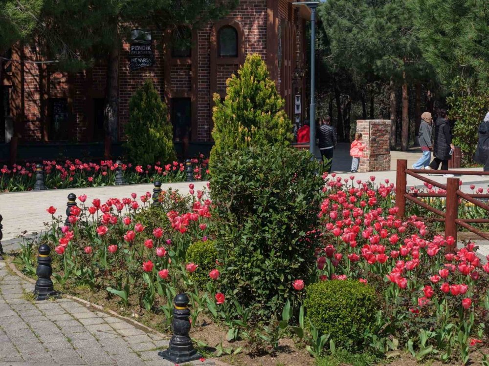 Pendik Korusu’nda Bahar Şöleni.. Lale, Nergis ve Sümbüller Açtı!