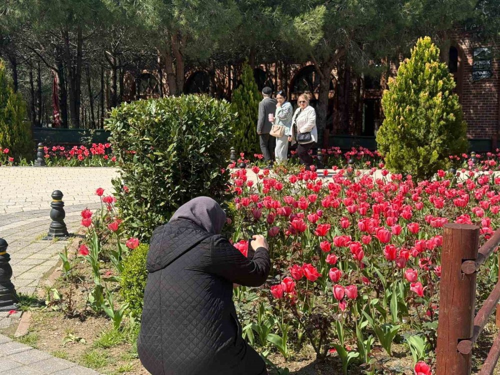 Pendik Korusu’nda Bahar Şöleni.. Lale, Nergis ve Sümbüller Açtı!