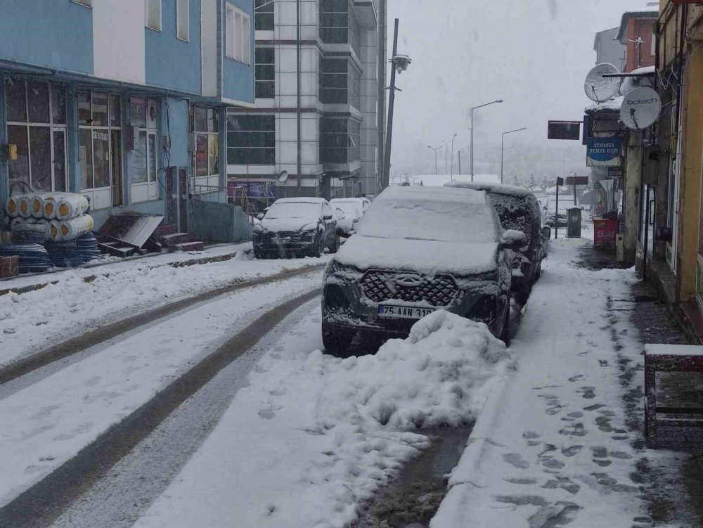 Ardahan’da Nisan Sürprizi.. Kar ve Don Hayatı Olumsuz Etkiledi!