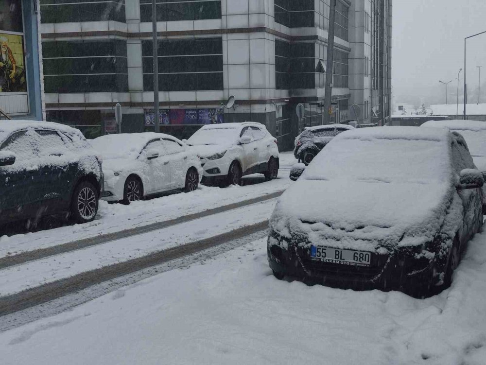 Ardahan’da Nisan Sürprizi.. Kar ve Don Hayatı Olumsuz Etkiledi!
