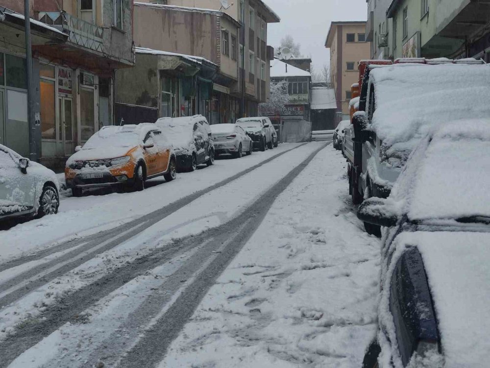 Ardahan’da Nisan Sürprizi.. Kar ve Don Hayatı Olumsuz Etkiledi!