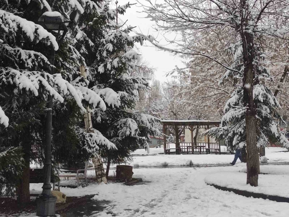 Ardahan’da Nisan Sürprizi.. Kar ve Don Hayatı Olumsuz Etkiledi!