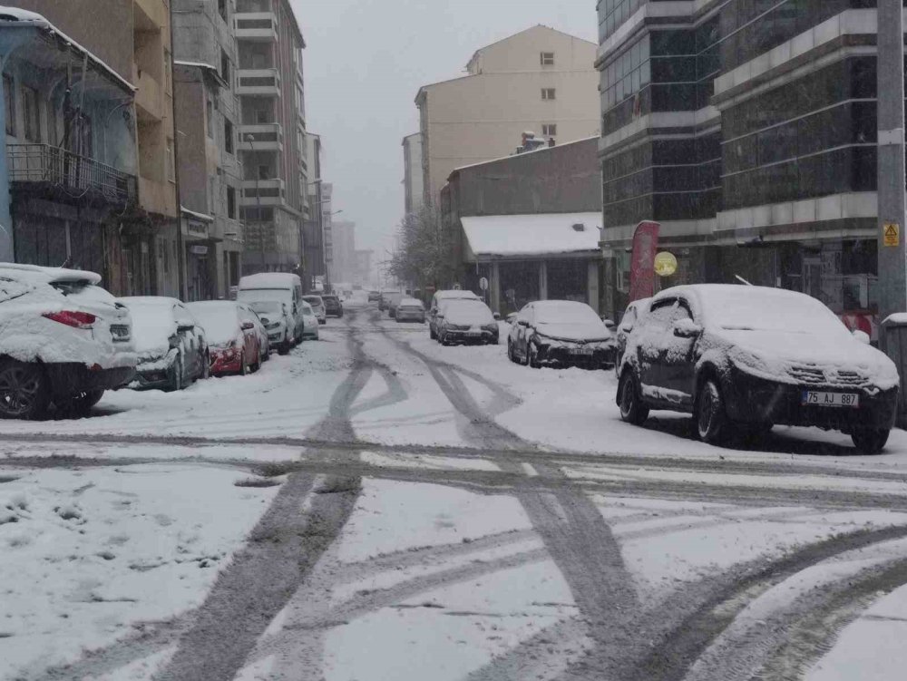 Ardahan’da Nisan Sürprizi.. Kar ve Don Hayatı Olumsuz Etkiledi!