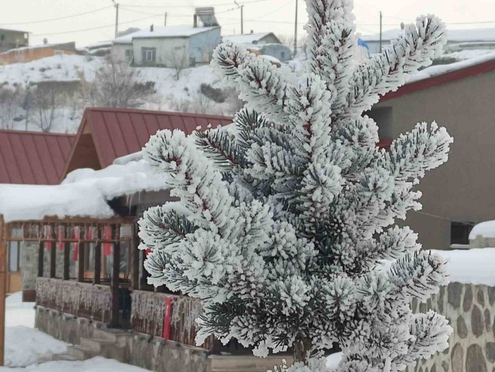 Ardahan’da Kar Sonrası Dondurucu Soğuklar Etkili Oldu