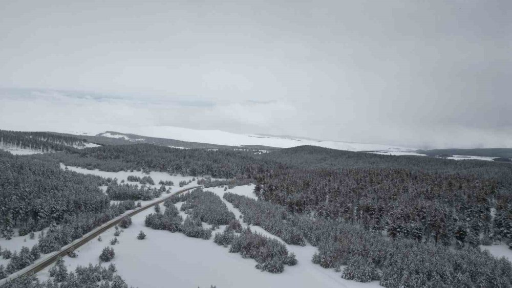 Baharda Kış Manzarası.. Kars/Sarıkamış-Erzurum Kara Yolu Büyüledi!