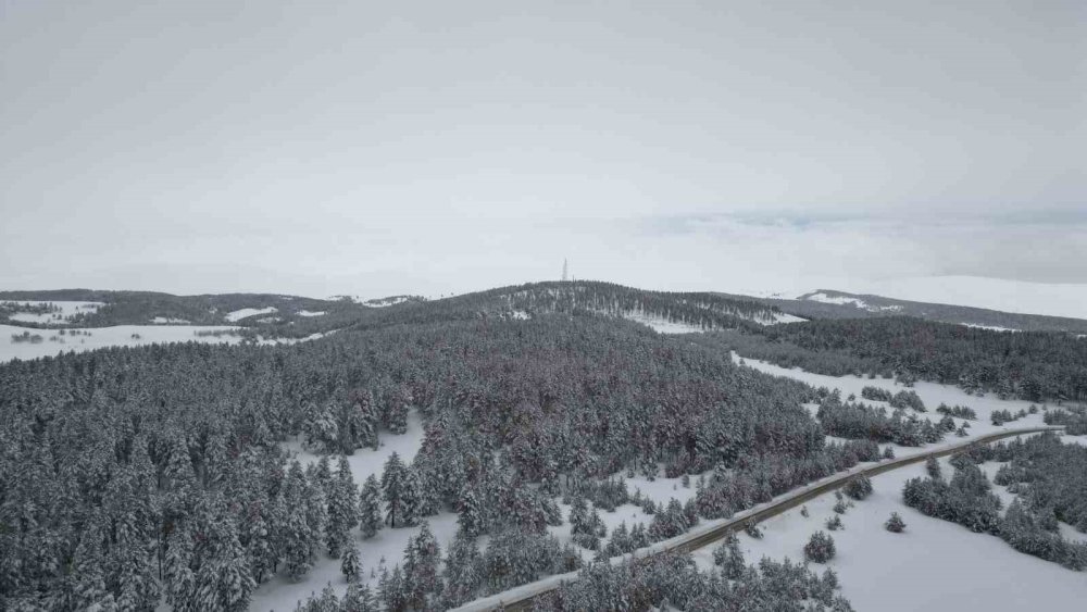 Baharda Kış Manzarası.. Kars/Sarıkamış-Erzurum Kara Yolu Büyüledi!