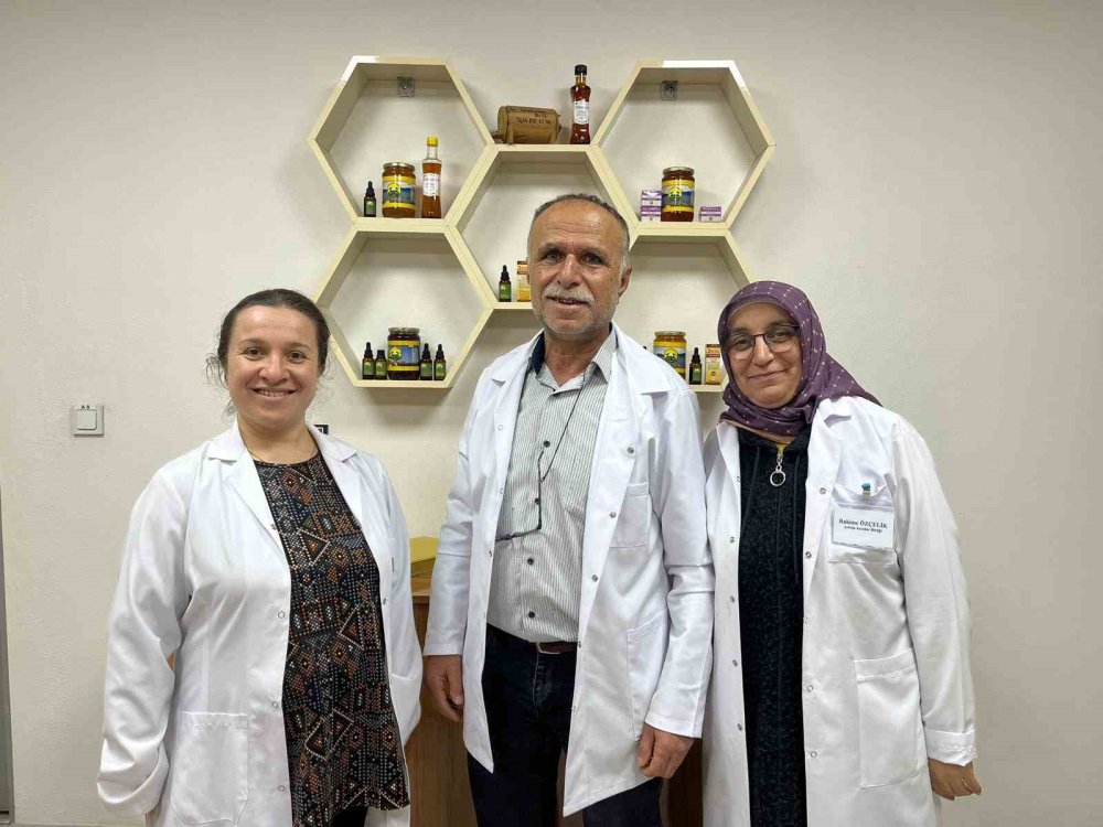 Hava Sıcaklığı Arıcıları Vurdu, Uzmanlardan Kritik Uyarı