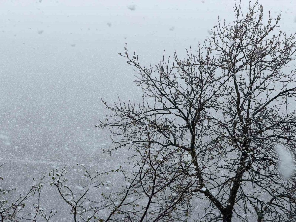 Zigana Dağı’nın Yüksek Kesimlerinde Lapa Lapa Kar Yağdı