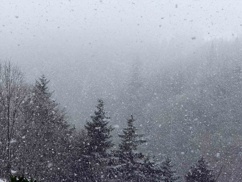 Zigana Dağı’nın Yüksek Kesimlerinde Lapa Lapa Kar Yağdı