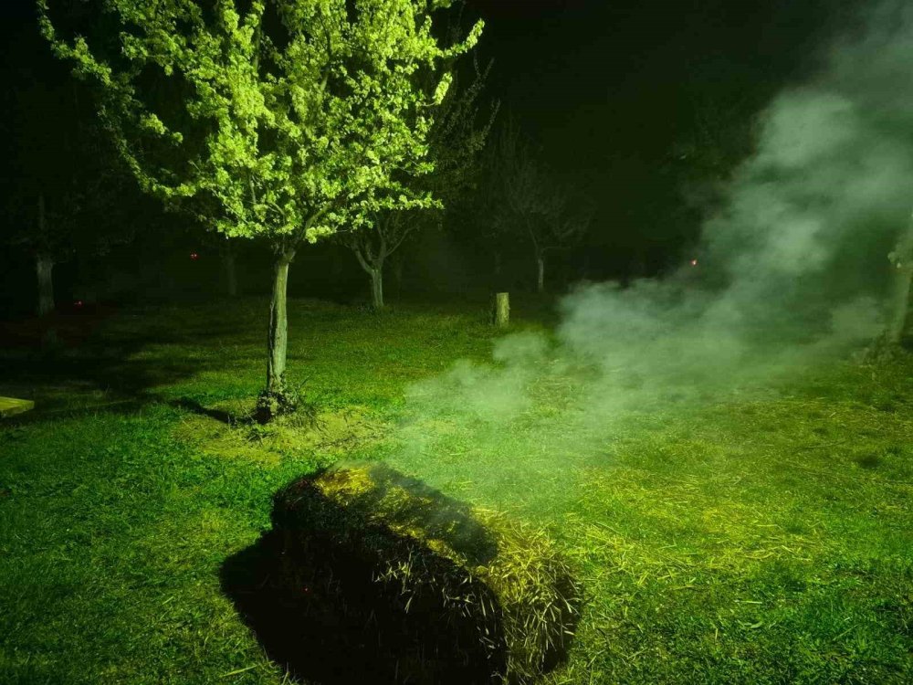 Iğdır’da Çiftçiler Meyve Ağaçlarını Dumanlama Yöntemi İle Soğuktan Korudu