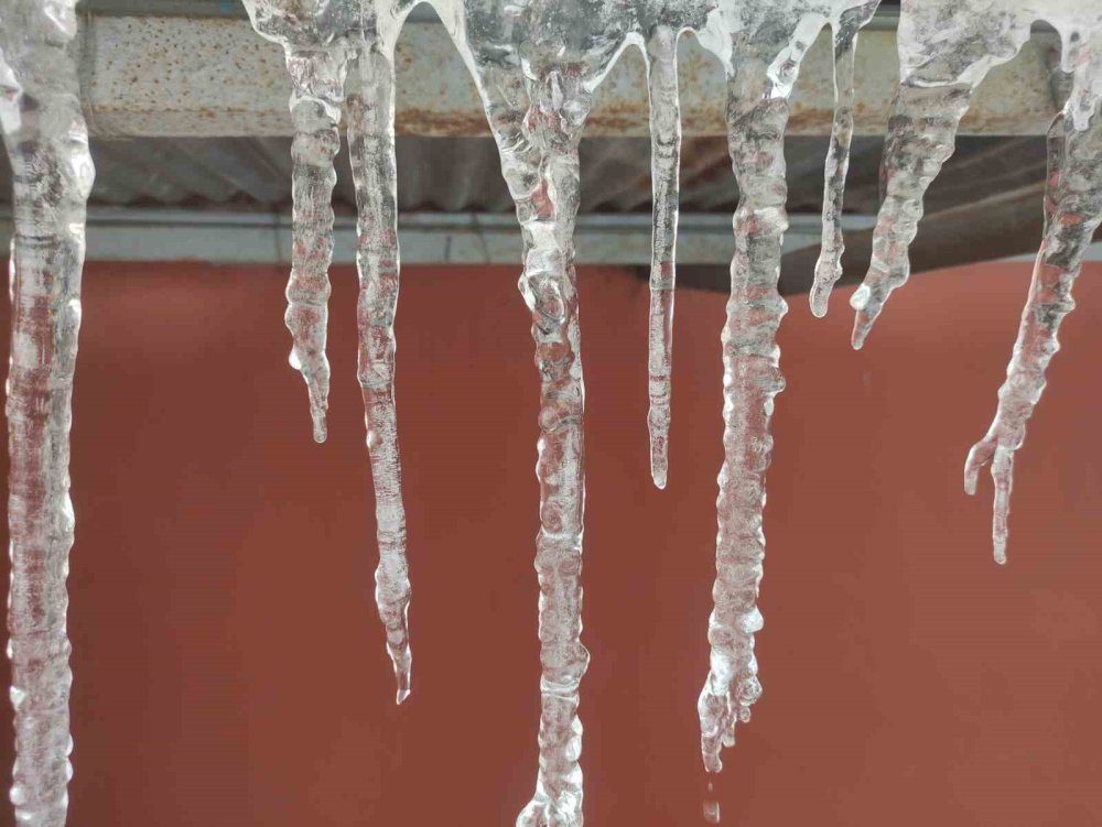 Hava Sıcaklığı Eksi 10’a Düştü, Ağaç Dalları Dondu