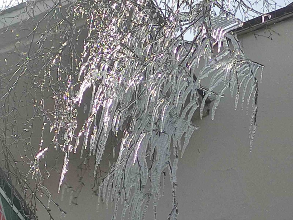 Hava Sıcaklığı Eksi 10’a Düştü, Ağaç Dalları Dondu