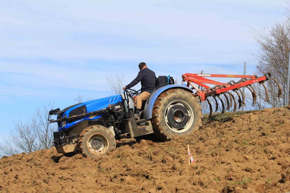 78 İlde Arttı, Adana, Hatay ve Bitlis'te Azaldı