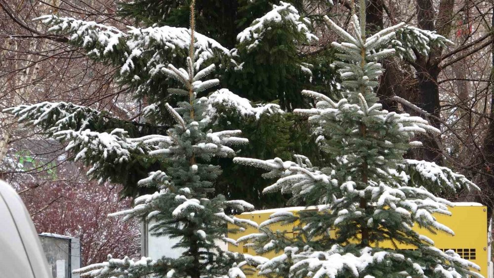 Ardahan Beyaza Büründü.. Aniden Bastıran Kar Yağışı Kenti Teslim Aldı!