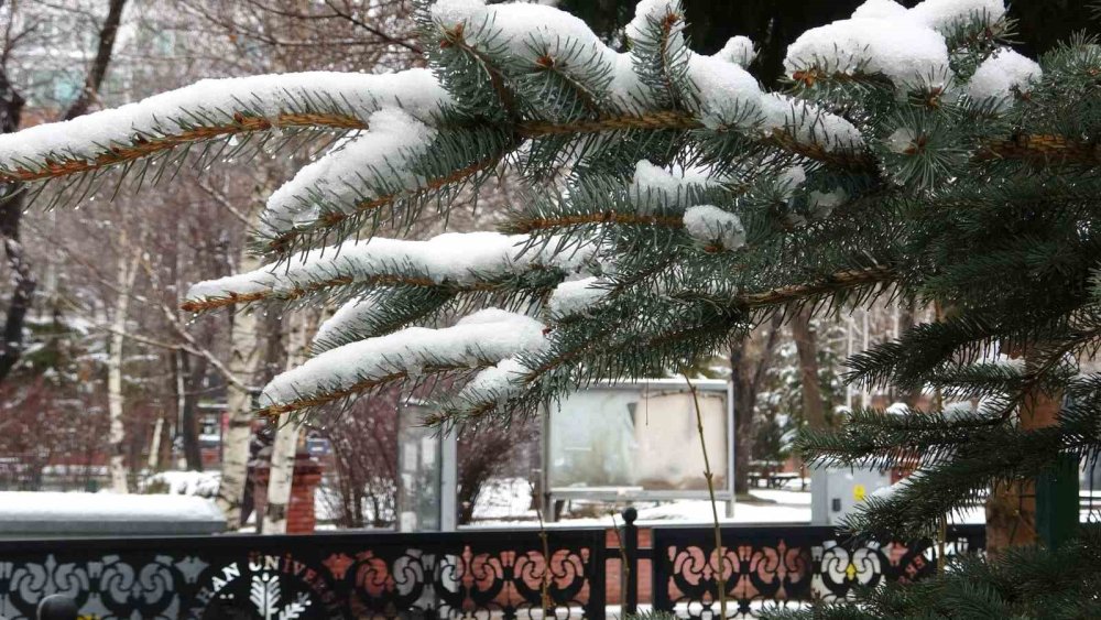 Ardahan Beyaza Büründü.. Aniden Bastıran Kar Yağışı Kenti Teslim Aldı!