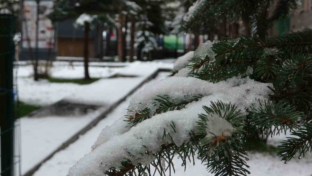 Ardahan Beyaza Büründü.. Aniden Bastıran Kar Yağışı Kenti Teslim Aldı!