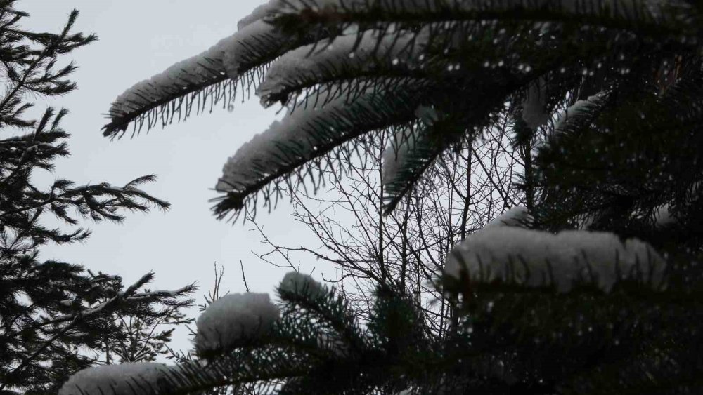 Ardahan Beyaza Büründü.. Aniden Bastıran Kar Yağışı Kenti Teslim Aldı!