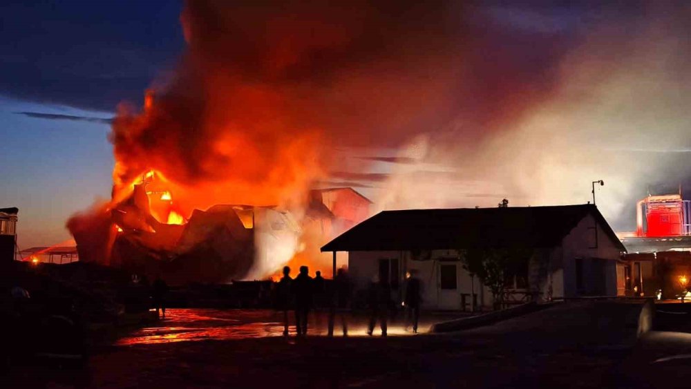 Edirne Paşaköy'de Kereste Fabrikasında Yangın