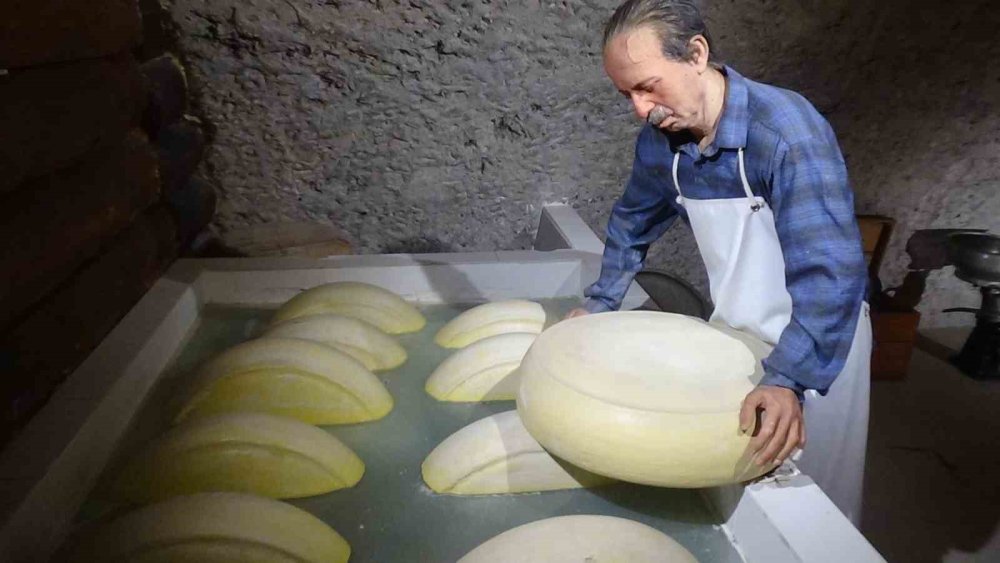 ‘Gravyer ve Kaşar’ın Hikayesi.. Kars Peynir Müzesi’nde Gerçekçi Deneyimler! 