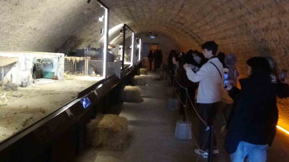 ‘Gravyer ve Kaşar’ın Hikayesi.. Kars Peynir Müzesi’nde Gerçekçi Deneyimler! 