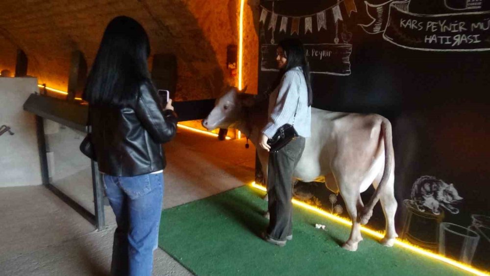 ‘Gravyer ve Kaşar’ın Hikayesi.. Kars Peynir Müzesi’nde Gerçekçi Deneyimler! 