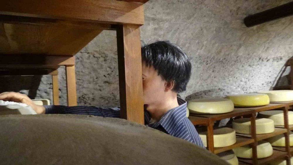 ‘Gravyer ve Kaşar’ın Hikayesi.. Kars Peynir Müzesi’nde Gerçekçi Deneyimler! 