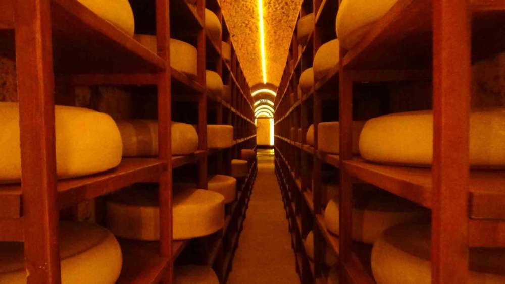 ‘Gravyer ve Kaşar’ın Hikayesi.. Kars Peynir Müzesi’nde Gerçekçi Deneyimler! 