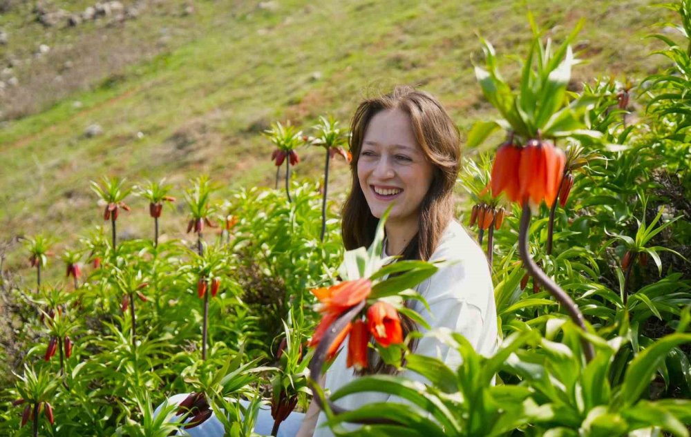 Muş'un Karaağaçlı Beldesinde, Ters Laleler Açtı