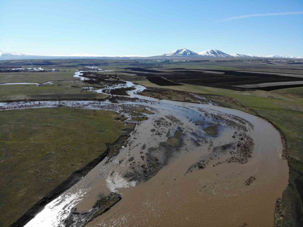 Kars Çayı Taştı.. Ağaçlar Suya Gömüldü, Meralar Etkilendi!