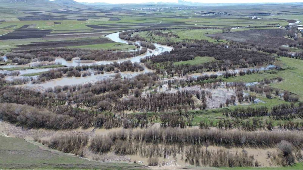 Kars Çayı Taştı.. Ağaçlar Suya Gömüldü, Meralar Etkilendi!