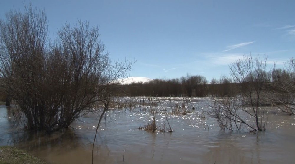 Kars Çayı Taştı.. Ağaçlar Suya Gömüldü, Meralar Etkilendi!
