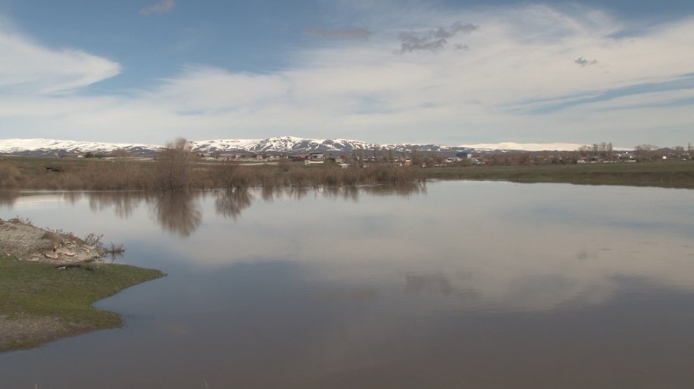 Kars Çayı Taştı.. Ağaçlar Suya Gömüldü, Meralar Etkilendi!