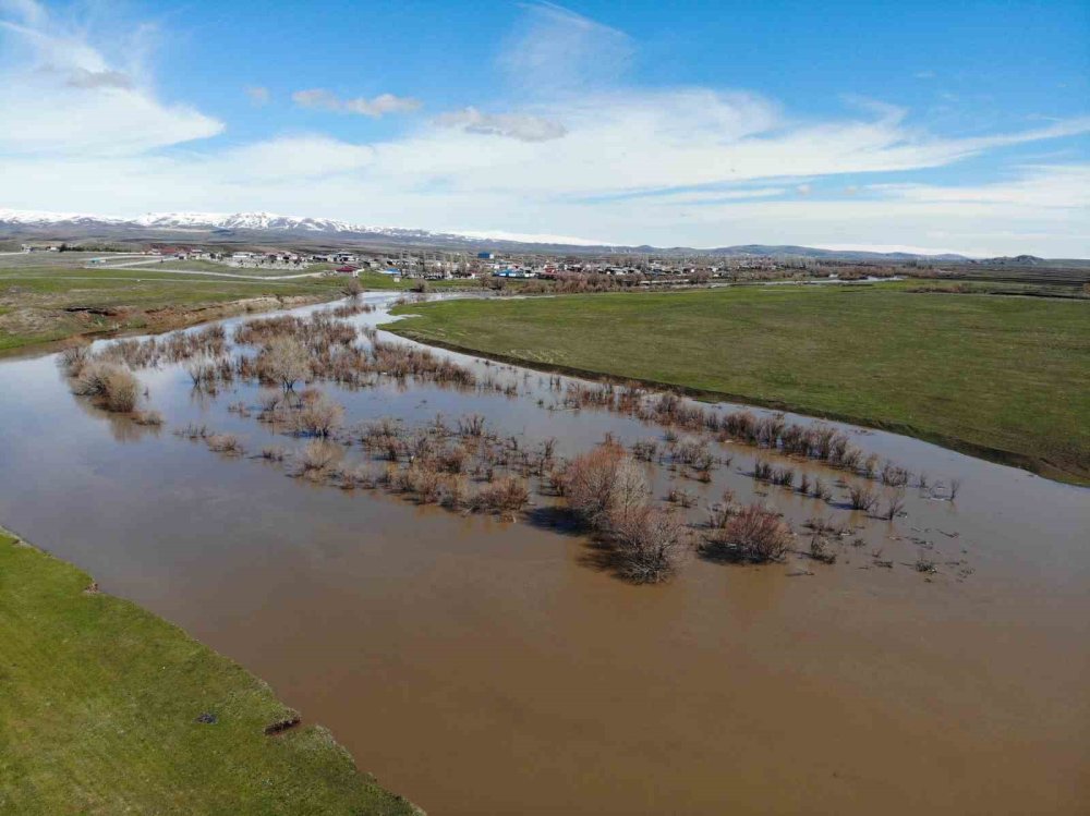 Kars Çayı Taştı.. Ağaçlar Suya Gömüldü, Meralar Etkilendi!