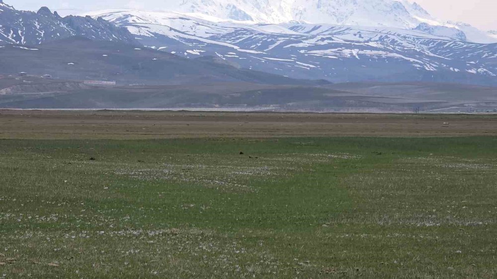Van’da İki Mevsim Bir Arada: Bir Yanda Bahar, Diğer Yanda Kış
