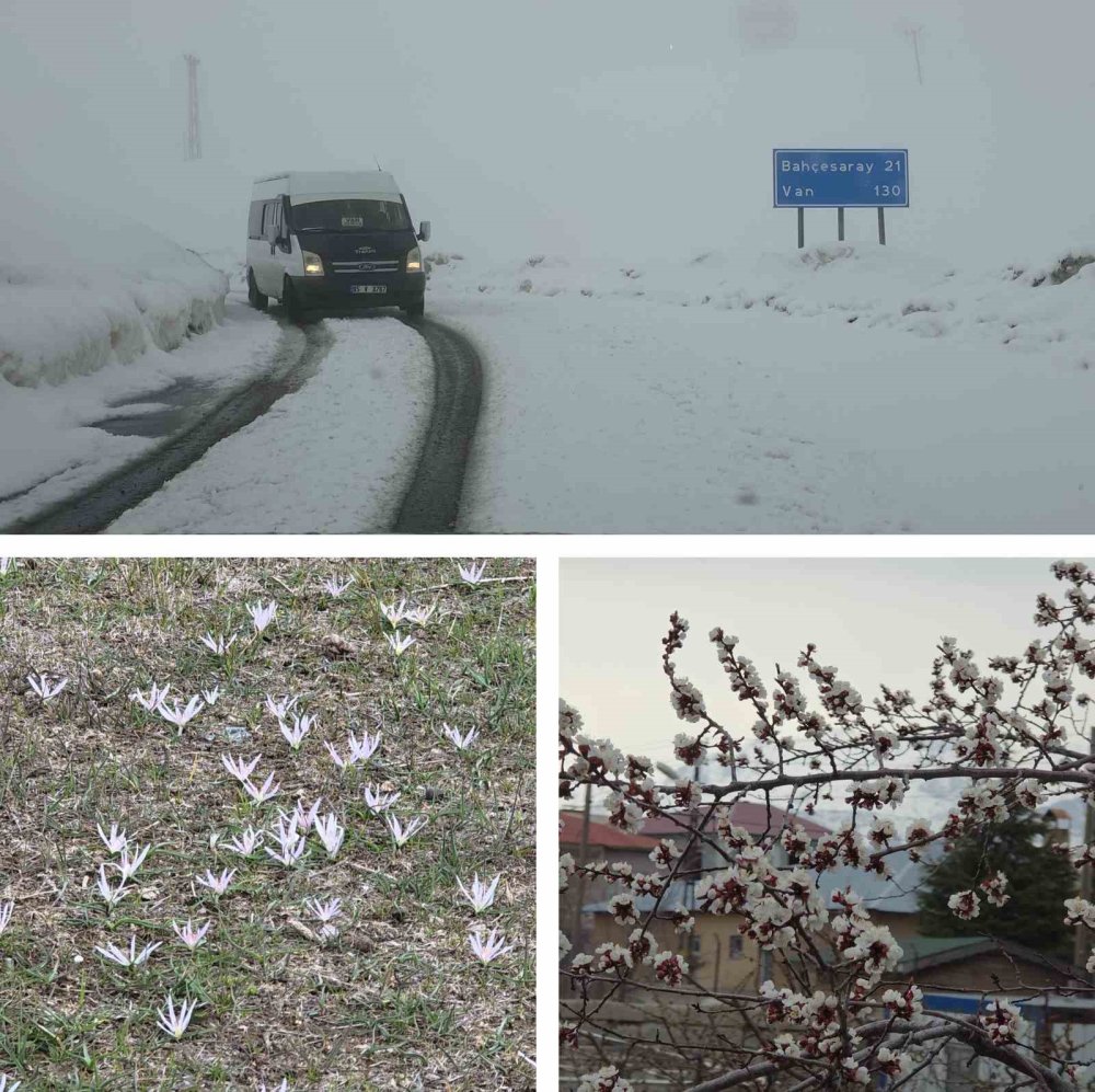 Van’da İki Mevsim Bir Arada: Bir Yanda Bahar, Diğer Yanda Kış