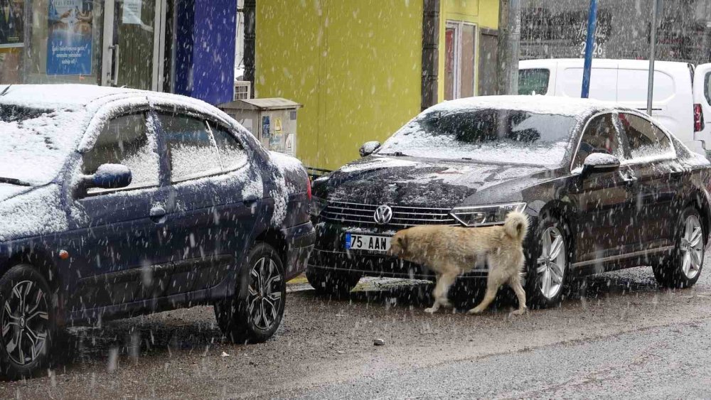 Ardahan’da Kar Yağışı Etkili Oldu