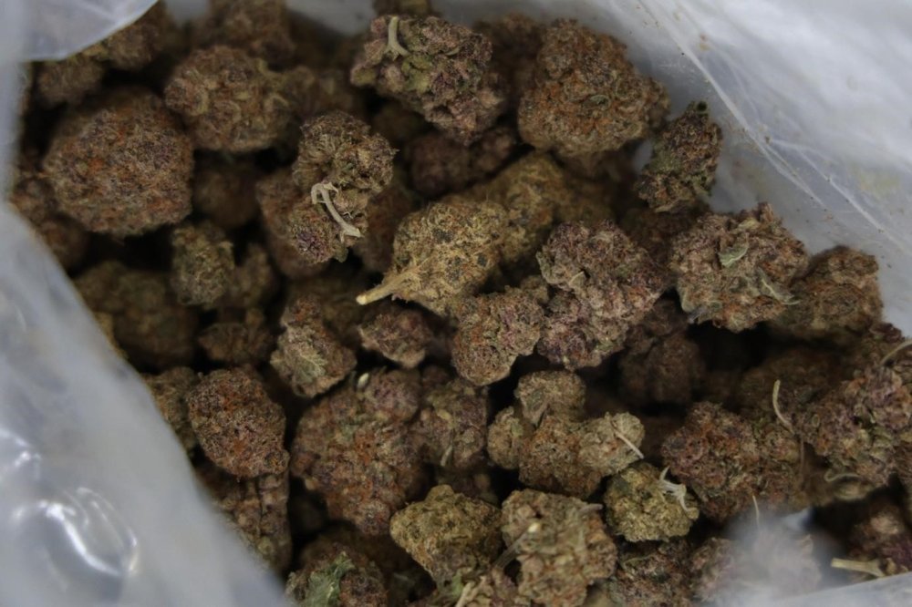 Türkiye ve Suriye’den Ortak Uyuşturucu Operasyonu