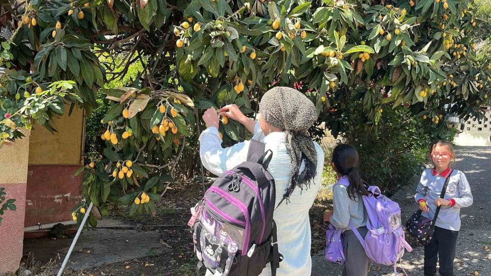 Talep Azalınca Bedava Dağıttı, Poşetini Alan Bahçeye Koştu