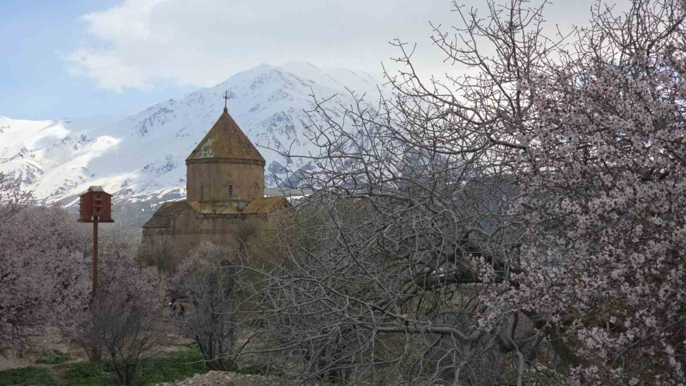 Akdamar Adası’nın Badem Ağaçları Çiçek Açtı