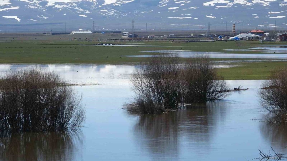 Ardahan’da Kura Nehri’nin Debisi Yükseldi